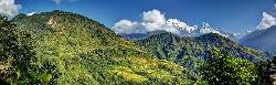 Annapurna massif with South peak and Hiunchuli rises above the small pass near Kimrong. It is a short and beautiful walk from Gandruk with snow-capped peaks over colourful forests. Far to the right Annapurna III and Gangapurna can be seen as well.