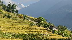 Just three hours after starting in Naya Pul, the walls of the Annapurna Sanctuary appear high on the horizion.