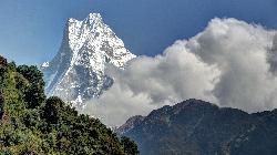 On the way to Choomrong, Machapuchare rises above the forested ridge.