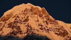 Magic light on the east-face of Annapurna South.