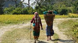 Walking the Annapurnas...