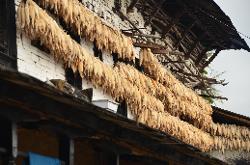 Often there is corn and hollow tree trunks for bees hanging on the whitewashed walls.