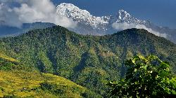 Rice terraces, forested hillsides and Annapurna South on way to Kimrong.