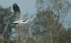 From the lodge's balcony we enjoy great views over the marshland.