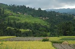 At the edge of the valley the city seems far away; traditional Newari houses and rice terraces are a good place for those seeking a rest from Kathmandu.