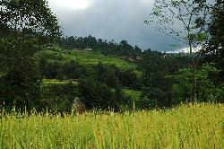 Sankhu features a pleasant village and gentle hills for a good walk.