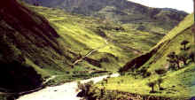 green valley along Bheri Khola