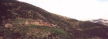 Shey gompa overlooking the meadow