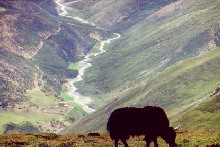 first view of Shey gompa after the pass