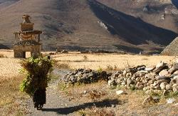 Chorten and houses of Do.