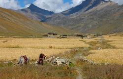 Tarap valley in Upper Dolpo