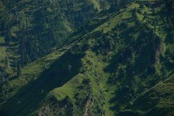 Hillside near Dunai turn into an intense dark green in the late afternoon.