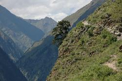 Nothing like a steep climb to get in shape at the beginning of a trek. We leave Dunai and take the high-route up the Suli valley towards Ringmo.