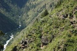 The Soligad creek below comes from the turquoise Phoksumdo lake.