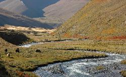 On the way to the lower part of Tarap valley where we branch off towards Charkha.