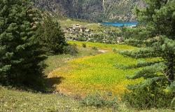 Yellow buckwheat fields add a great contrast do the blue colour of the lake.