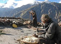 Summer is spent on the roof where turnips and mustard oil are being prepared.