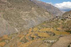 Sangda valley with harvested buckwheat and barley fields.