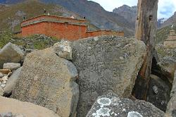 We find the caretaker and he opens the door of the assembly hall of Shey's gompa.