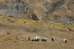 Suddenly the fertile valley of Saldang appears at the bottom of the valley. The stretched out village is very picturesque.