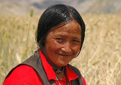 Woman from Saldang takes a short break from harvesting the barley.