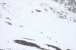 Hhmm;I think Jamie at the very end descending from the Sangda pass.