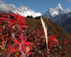 Last view of the giants of the Khumbu before entering the low valleys towards Lukla.