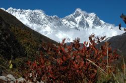 The massive wall of Nuptse and Lhotse rises above us.