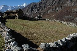 One of the farmhouses and summit of Thyangmoche in the background.