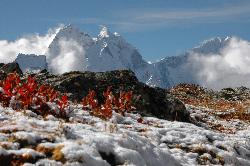 Kangtega seen from Lobuche; after a night of light snowfall the sun quickly melts the first layer and the flowers come out again.