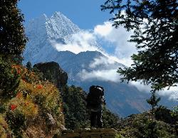 The trail to Shyangmoche goes gently up the valle. Out of the forest the views open up to reveal Tamserku.