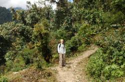 The trail from Yuksom to Tshoka runs high above the rivers through lush forests.