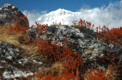 Kabru  above the clouds that move in during the day.