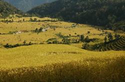 ... the valley of Martham features picturesque rice terraces.