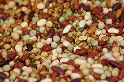 Beans and lentils are staple diet together with rice that grows all over the hillsides...
