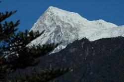 Rathong peak rises high above as we descend into the forest.