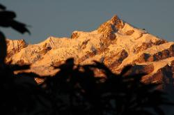 Setting sun turn Narsing peak into orange light; seen through leaves of rhododendron.