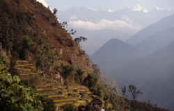 fields_mountains_phampa_danda.jpg (126075 Byte)