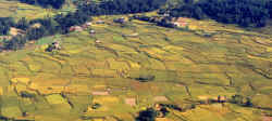 kathmandu_valley_fields.jpg (274152 Byte)