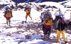 Porters on the way to high camp