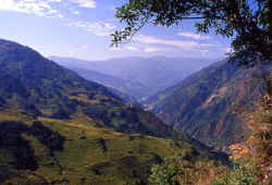 Rice terraces near Suketar at the beginning of the trek