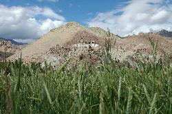 Further to the west lies Basgo; a former capital whose fort and monastery are built high above the village and its fields.