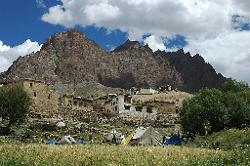 Our camp below the shade of willow trees in Nyerak between fields and the village;