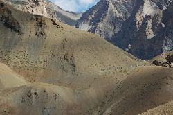 Horses following us on the way to Nierak; Singe La crosses the ridge at the horizon .