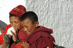 In the evening a novice blows the horn to announce the puja.