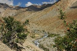 View of our camp near the river above Hanupatta.