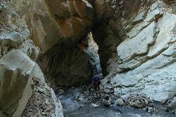 Taking off shoes and walking in the creek; a different kind of trail.