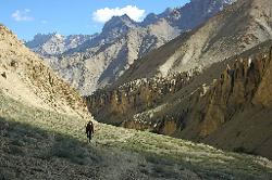 Leaving the uninhabited valleys behind; we slowly reach higher and wider spaces on the way to Zangla.