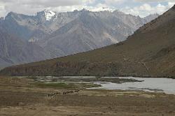 The wide valley near Zangla is a strange sight; the first flat area since many days. The horse caravan passed us and is setting up camp around the river bend.