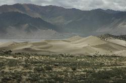 Passing endless dunes along the mighty riverbed.